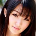 辛尤里