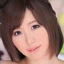 步宾探花