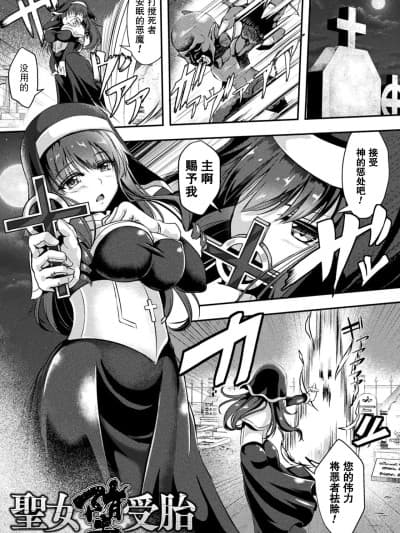 [机手汉化][Digital] [はこまる] 圣女堕受胎