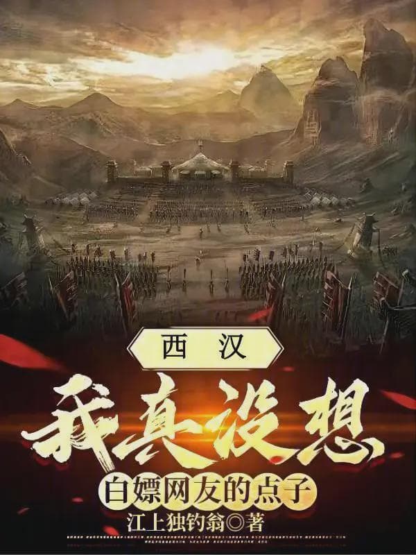 西汉：我真没想白嫖网友的点子