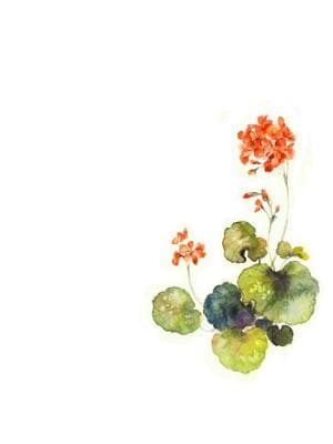 霸道宫妃爱上我:娇妻太猖狂