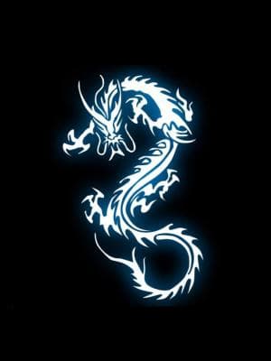 我是龙