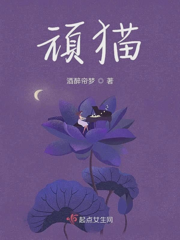 顽猫