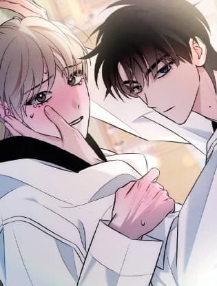 Counter Crush (完整版)