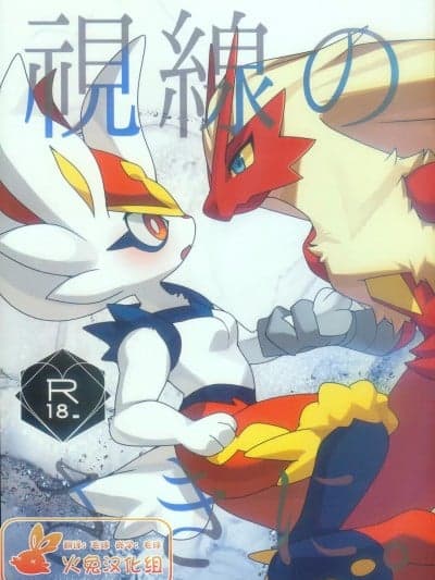[火兔汉化组] (C105) [さんぐりあ (ざくろ)] 视线のさきに。 (ポケットモンスター)