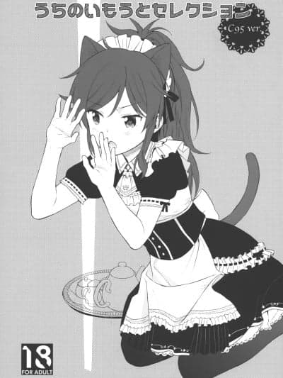[个人机翻汉化] (C95) [不可不可 (関谷 あさみ)] うちのいもうとセレクション C95.ver (クオリディア・コード) [中国翻訳]