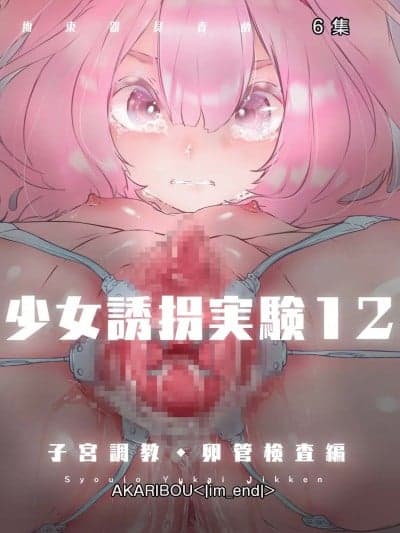 [个人机翻 + 润色] [灯工房] 少女诱拐実験12 子宫调教・卵管検査编 [中国翻訳]