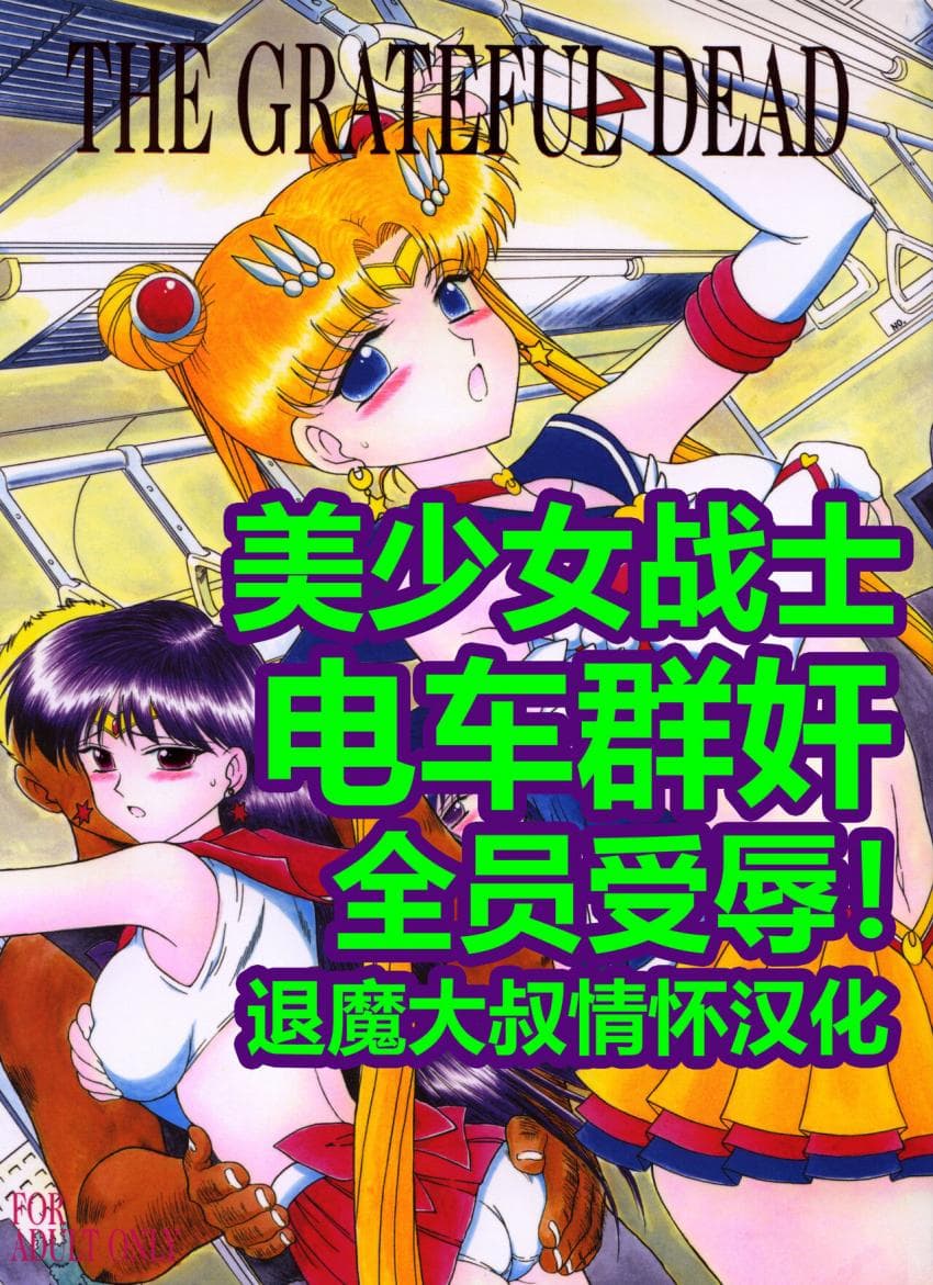 美少女战士 电车群奸