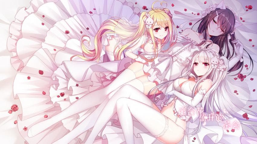 百合花盛开的茶会