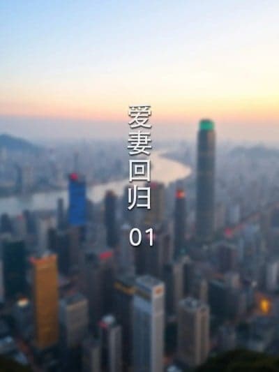 爱妻回归01