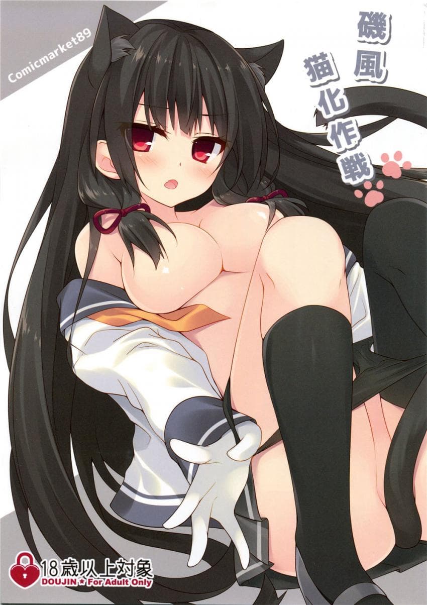 矶风猫化作戦