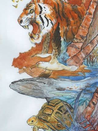 于荒野中流浪