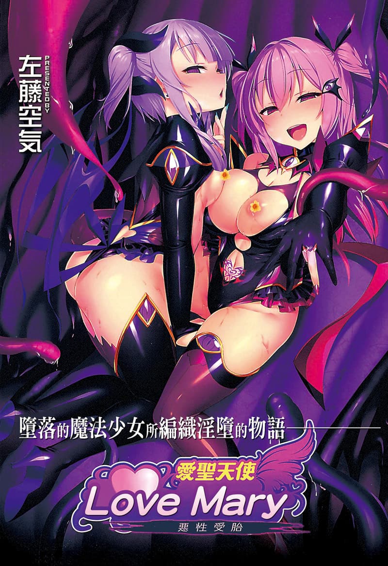 爱圣天使Love Mary 恶性受胎