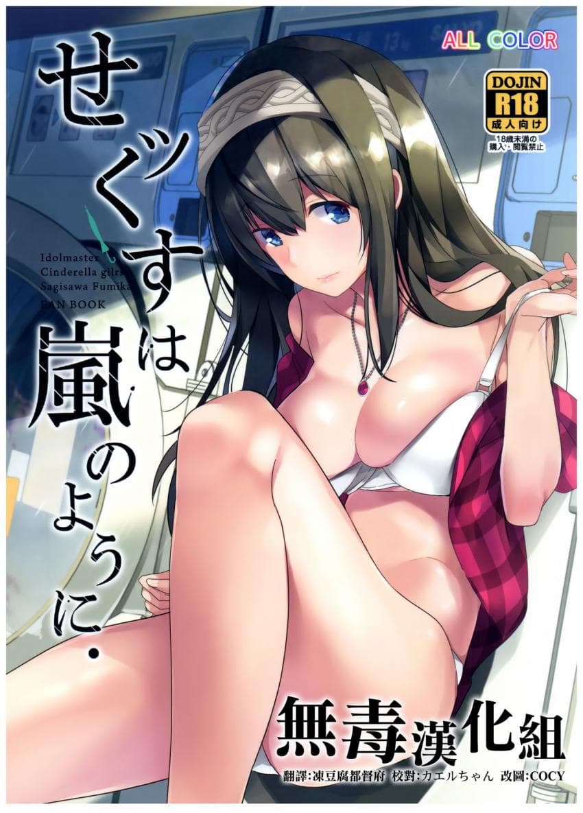 せッくすは岚のように.