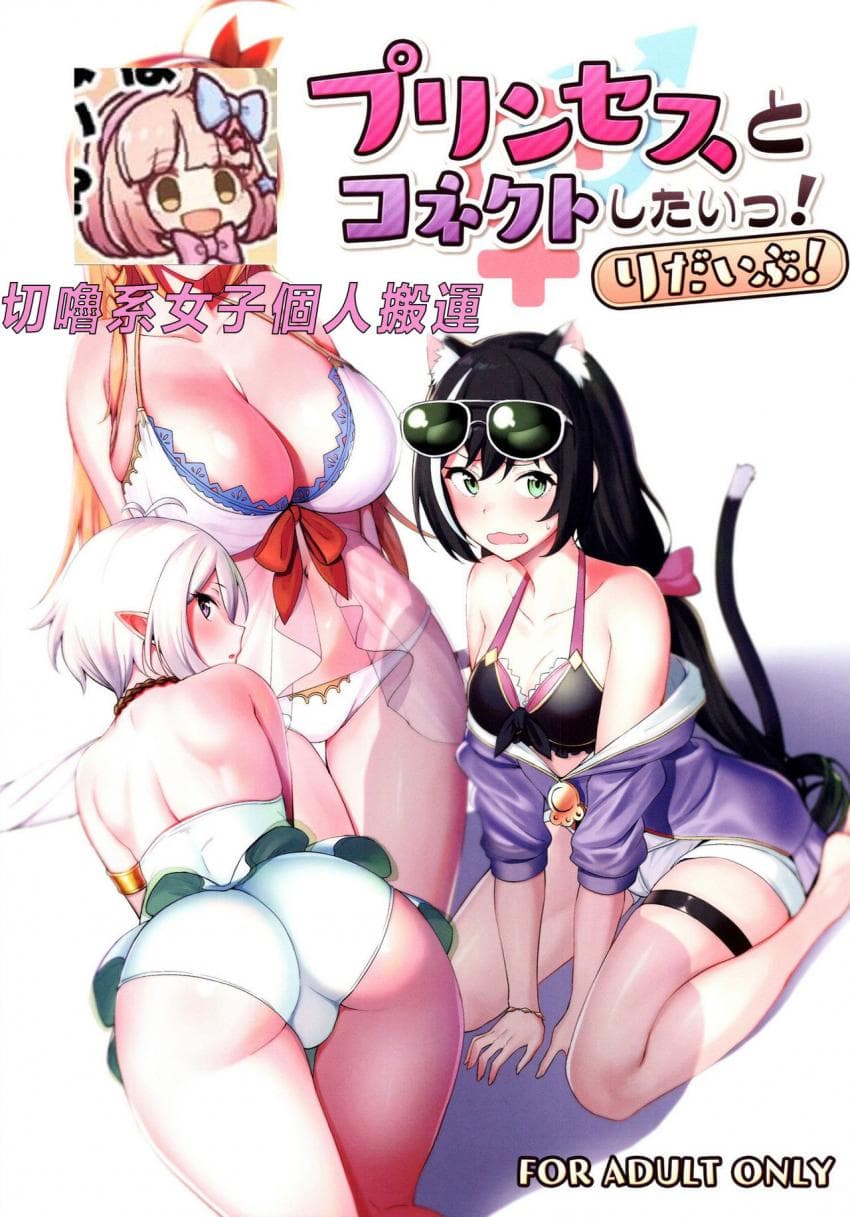 プリンセスとコネクトしたいっ!りだいぶ!
