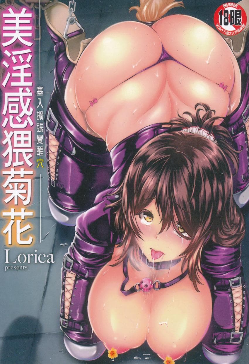 美淫感猥菊花