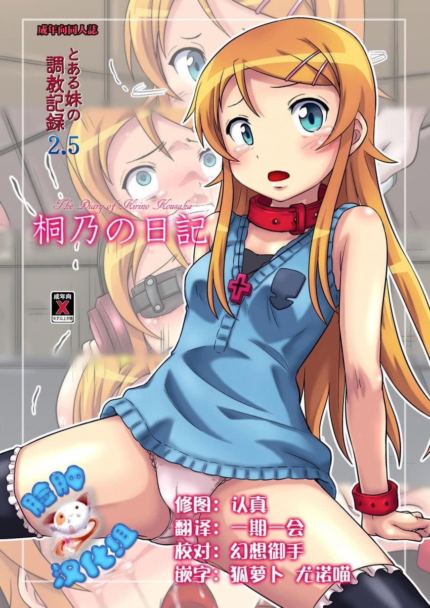 桐乃の日记