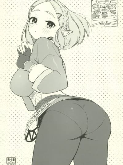 (C106)[森宫缶(森宫正幸)]2025SUMMER森宫缶おまけ本(ゼルダの伝説)[中国翻訳]