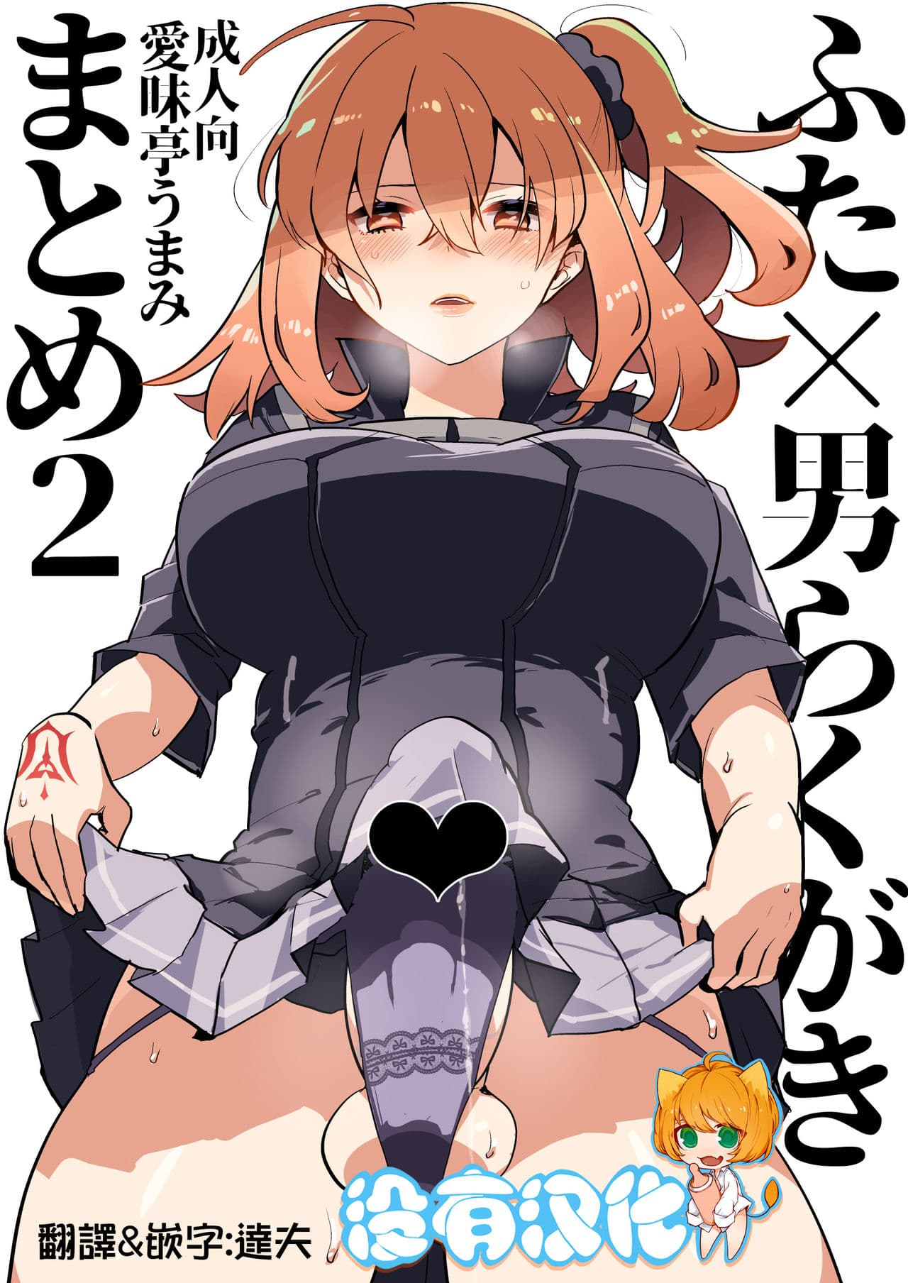 ふた×男らくがきまとめ2 Fate编