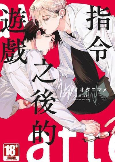 指令之后的游戏
