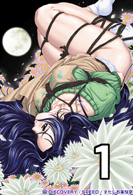 【0204】月花美人 1