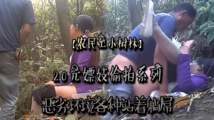 【农民工小树林】20元嫖妓偷拍系列，恶劣环境各种站着躺屌