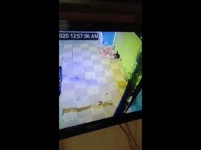 行为令人发指性质极其恶劣