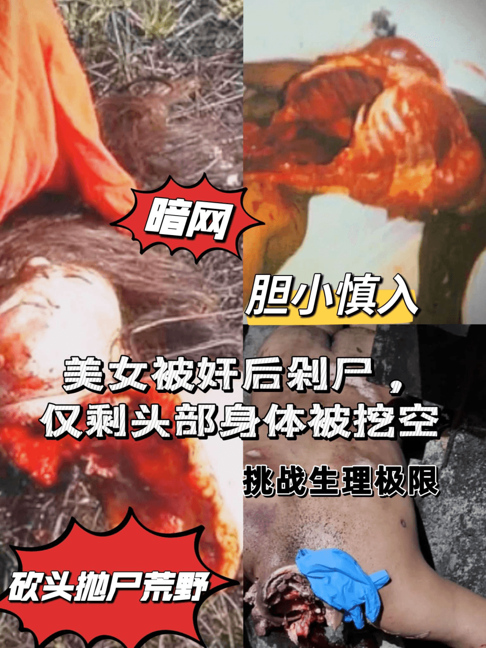 美女被奸后杀掉，尸体都被剁掉，各种血腥内容，胆小慎入