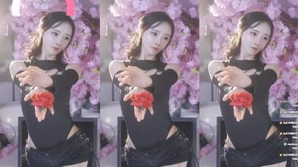 KBJ-24122149