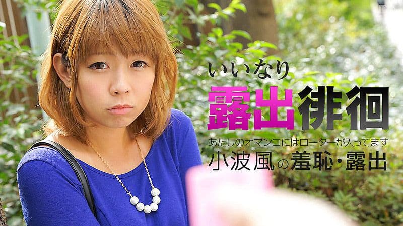 从顺露出散步 ～鲍鱼塞跳蛋真爽～ 小波风 caribbeancom_061116-183