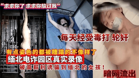 【暗网流出】每天经受毒打，轮奸，有点姿色的都被糟蹋的不像样了，缅北电诈园区真实录像，被高薪利诱骗到缅北的女孩！