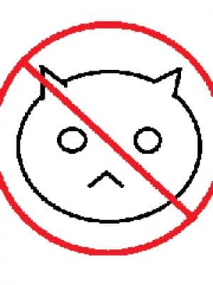 无猫之城